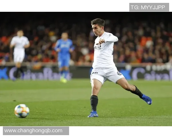 费兰托雷斯的崛起之路：从青训天才到足球场上的闪耀明星